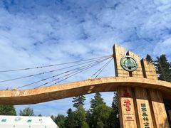 -五营国家森林公园