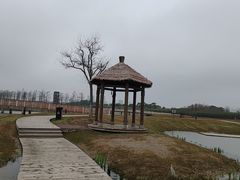 -春花秋色城市公园