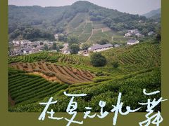 -西湖风景区十里琅珰-五云山