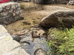 -黑龙潭风景区