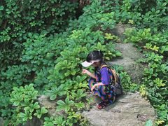 -素山寺森林公园