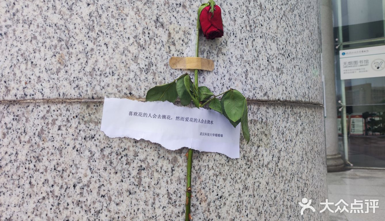 【武汉】——每天不一样🌸（下）