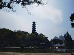 -江心屿景区