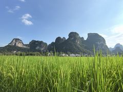 -明仕田园