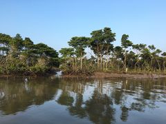 -东寨港红树林旅游区