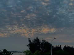 -宝安西湾红树林湿地公园