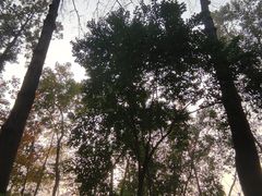 -成都市活水公园