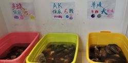 -邵老师打金·黄金加工(大望路总店)