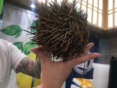 -HIHE Bistro·Oyster Bar(华熙live店)