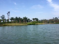 -瑶湖郊野森林公园