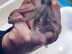 -拉完海鲜大排档(温岭店)