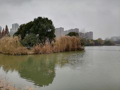 -青枫公园