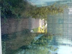 android_upload_pic-上海市嘉定区妇幼保健院