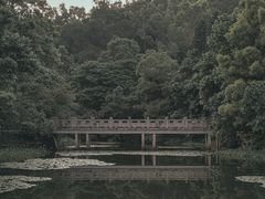 -深圳国际园林花卉博览园