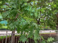 -霍尔果斯国门景区