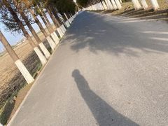 -嘉北郊野公园