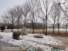 -大望京公园