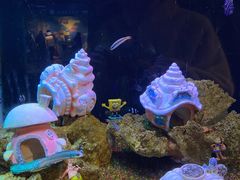 -海合安武汉极地海洋公园