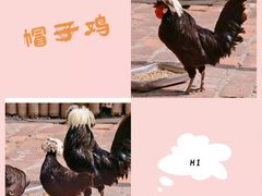 -深圳野生动物园