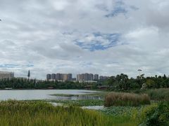 -洛龙公园