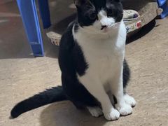 -瑞派康怡24h宠物医院·犬猫医疗中心·微创绝育(瑞景分院)