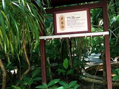 -三亚海棠湾南田温泉神龙谷