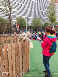 -萌宠亲子动物乐园(槐房万达店)