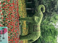 -长白岛森林公园