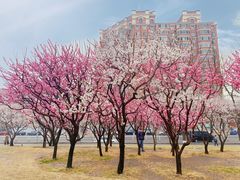 -北京明城墙遗址公园