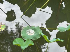 -忠山公园