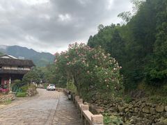 -林坑古村落
