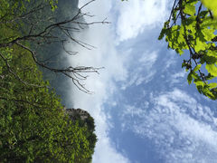 牛背梁自然保护区-牛背梁国家森林公园