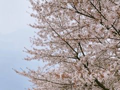 -苏州上方山国家森林公园