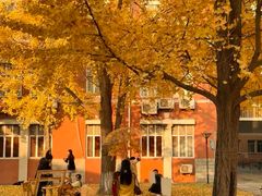 -四川大学(望江校区)