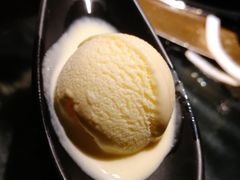 冰淇淋-凤园椰珍·臻品椰子鸡(保利时光里店)