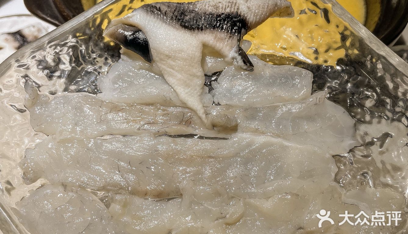 第一次吃河豚鱼火锅🐡该不会只有我吧‼️