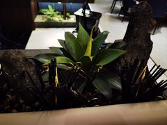 -蜀厨小匠·民间川菜(犀浦店)
