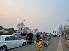 -莫子山公园
