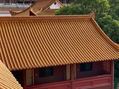-深圳仙湖植物园
