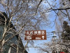 -鸡鸣寺