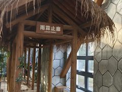 -南宫五洲植物乐园