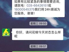 -半岛宠物医院24小时(科华中路店)