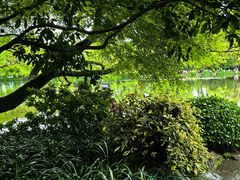 -南沙蒲洲花园