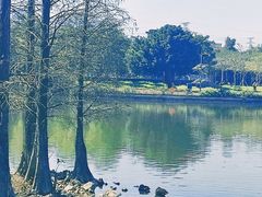 -海珠湖公园