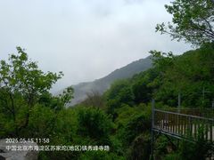 -阳台山自然风景区