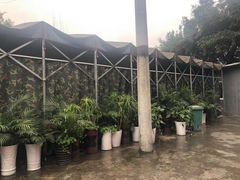 -山地居烤全羊·柴火鸡(大坪-半山公馆店)