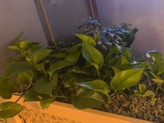 -茄子恰恰·新云南小炒(钱王街店)