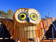 -宁波儿童公园(鄞州区)