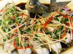 鱼-九头鸟酒家(四道口店)