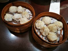 -老桐椿 · 上海大馄饨